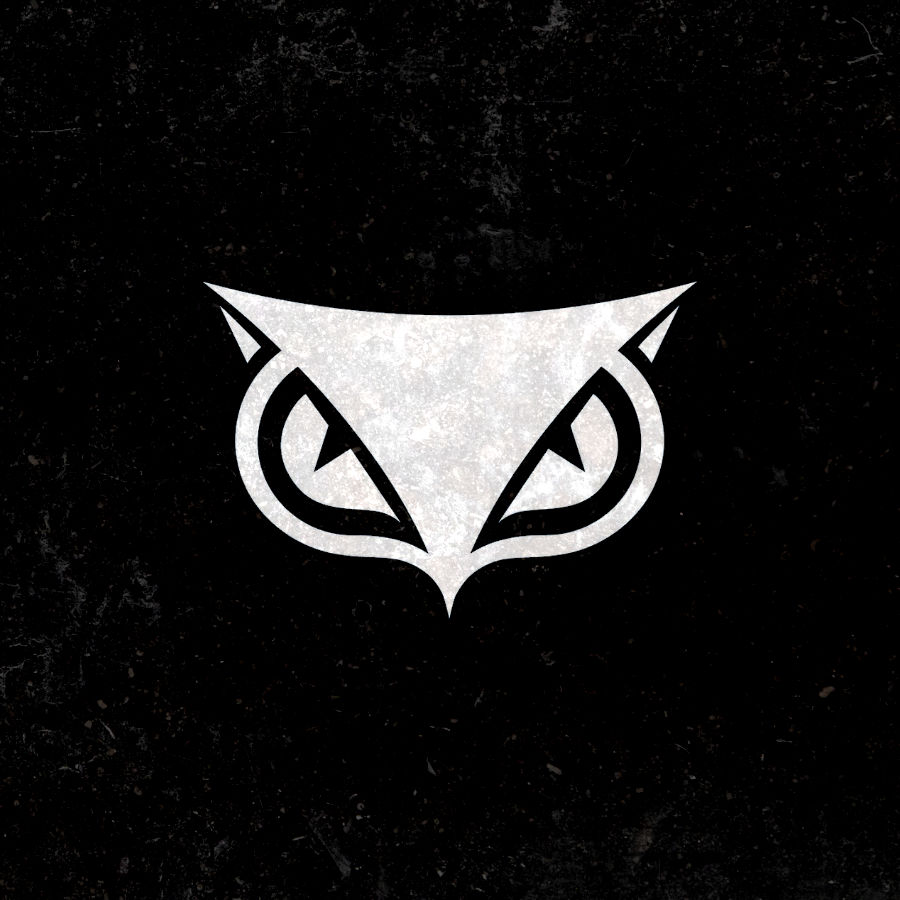 The Cybereason Logo - an owl