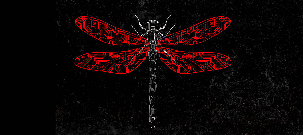 A dragonfly made of circuitry.